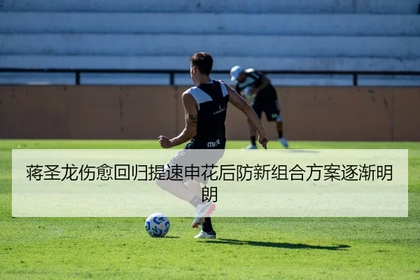 蒋圣龙伤愈回归提速申花后防新组合方案逐渐明朗